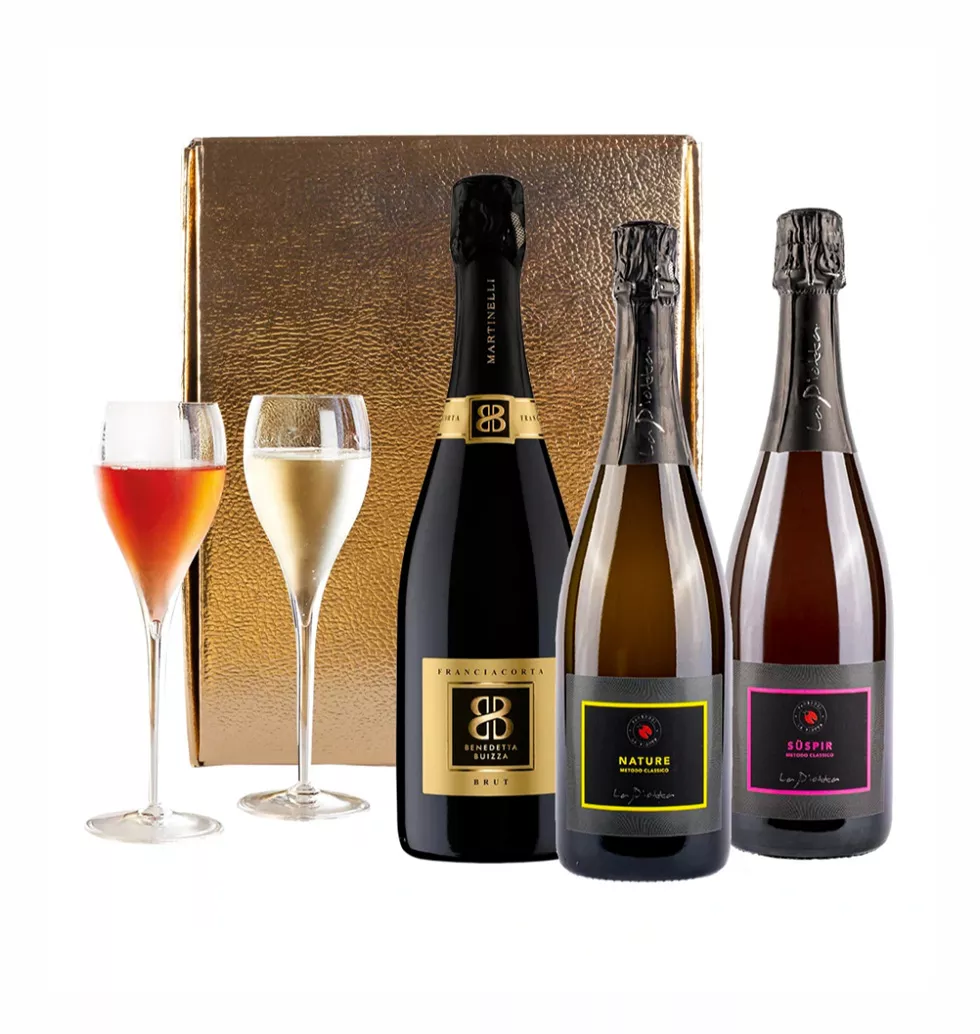 Festive Fizz: Premium Italian Sparkling Selection