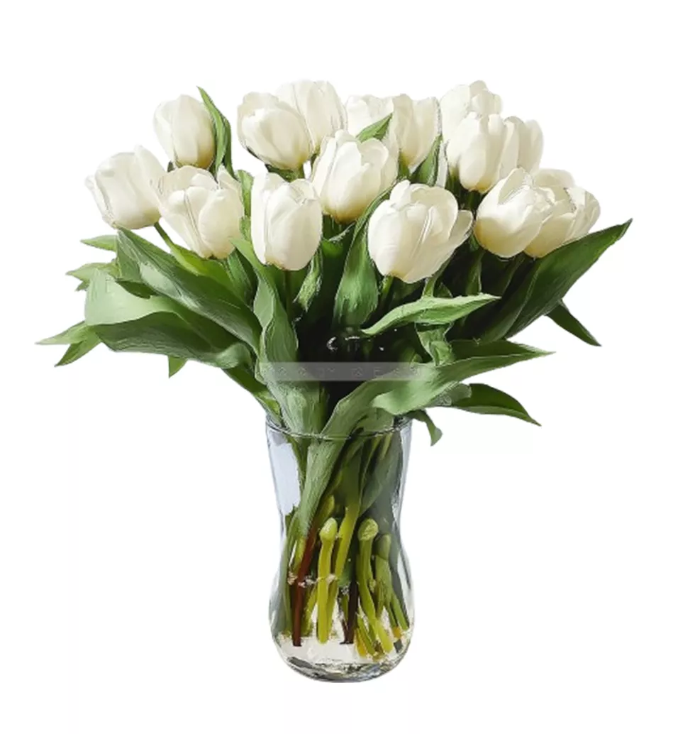 Pure White Tulip Bouquet