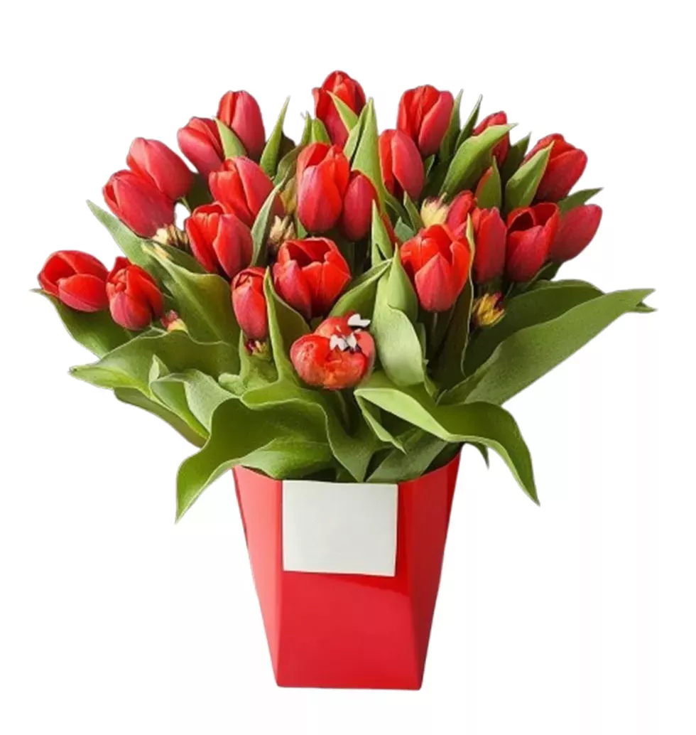 Lush Red Tulip Bouquet with Statice