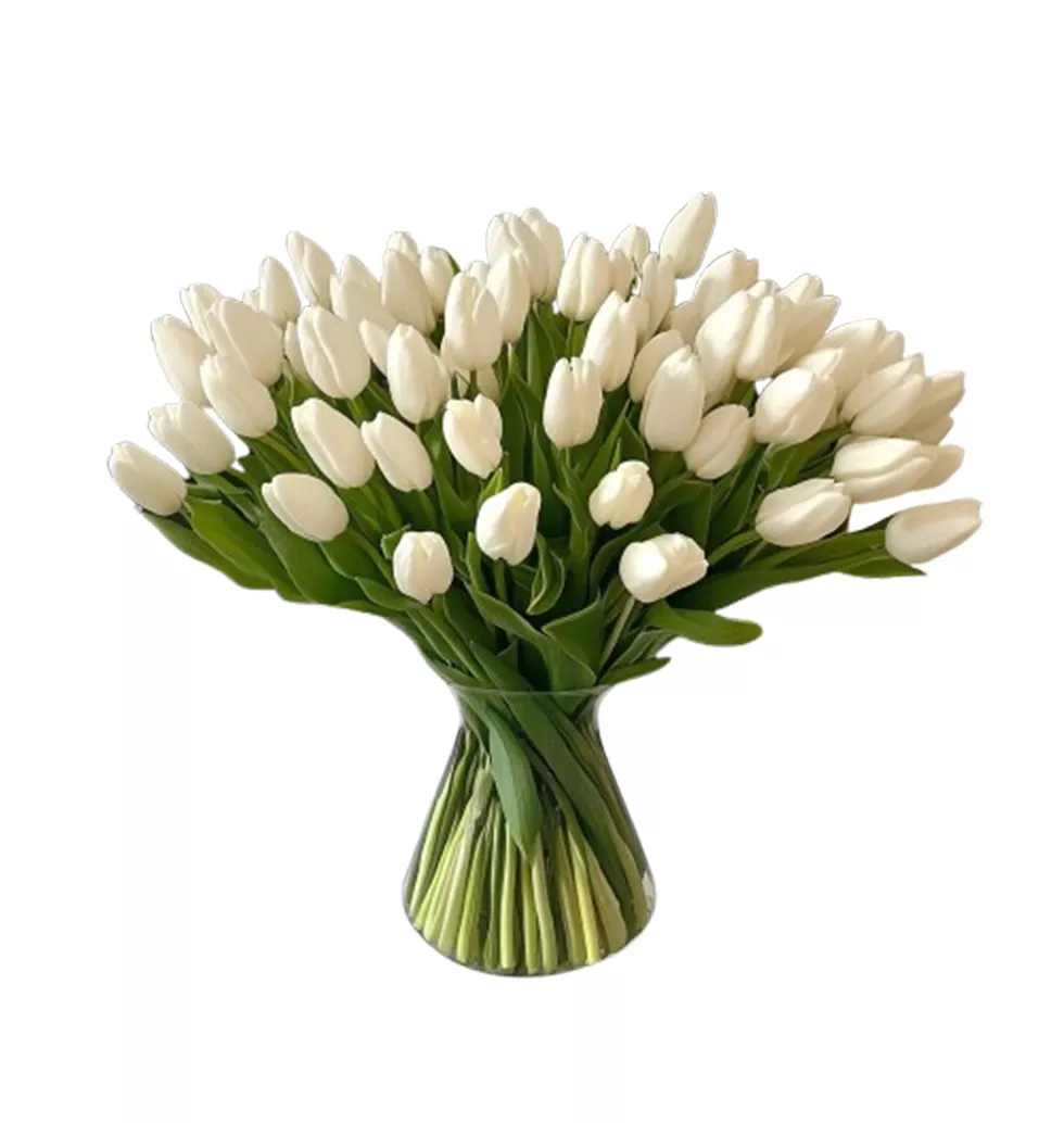 Pure Elegance: 50 White Tulips Bouquet